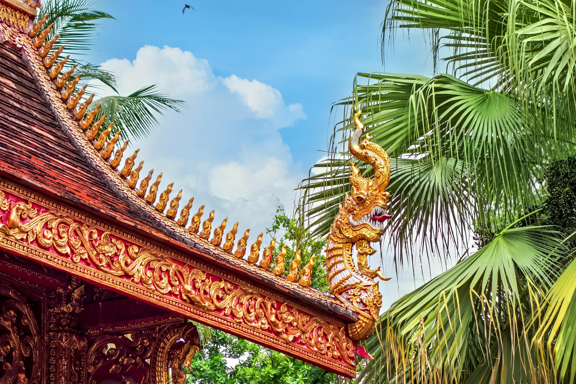 Experience Lampang’s adventure with weather-smart tours